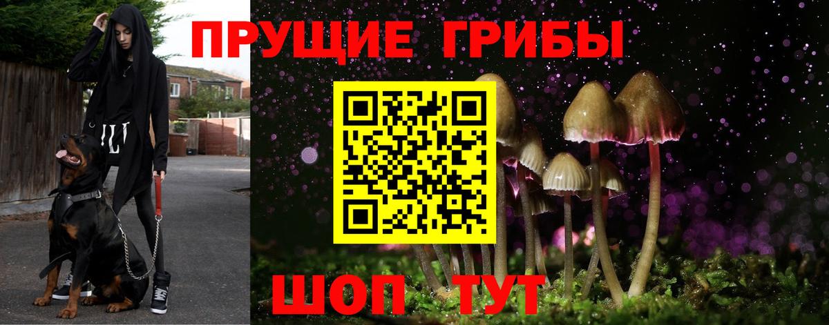 Галлюциногенные грибы MAGIC MUSHROOMS Кызыл