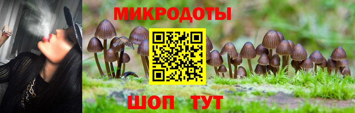 Кызыл  Псилоцибиновые грибы GOLDEN TEACHER  Псилоцибиновые грибы GOLDEN TEACHER  Вход с VPN 